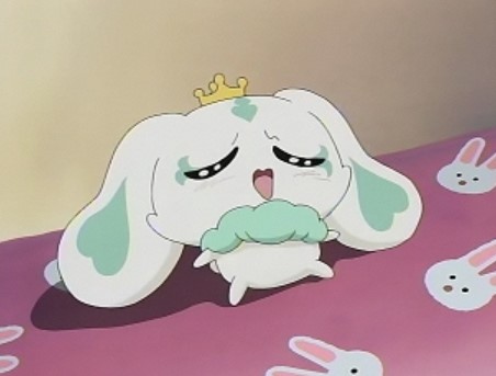 �v���L���A �d��